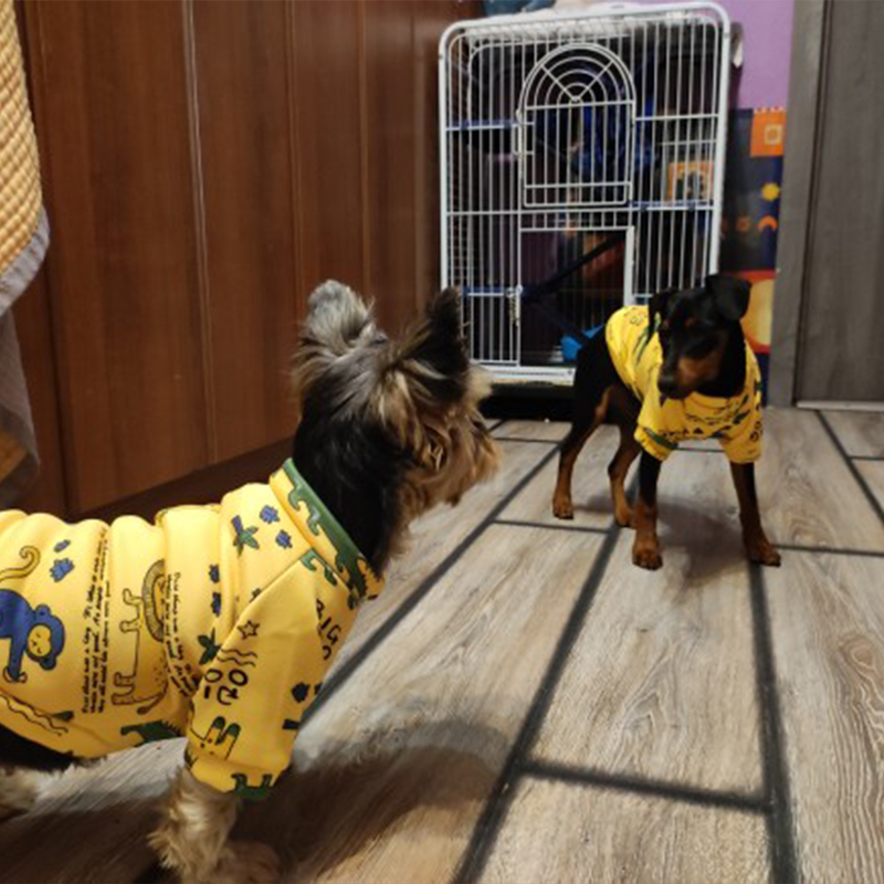 Xs Dog Clothes for Small Dogs  - Winter Clothing For Toddlers ulasan dan harga