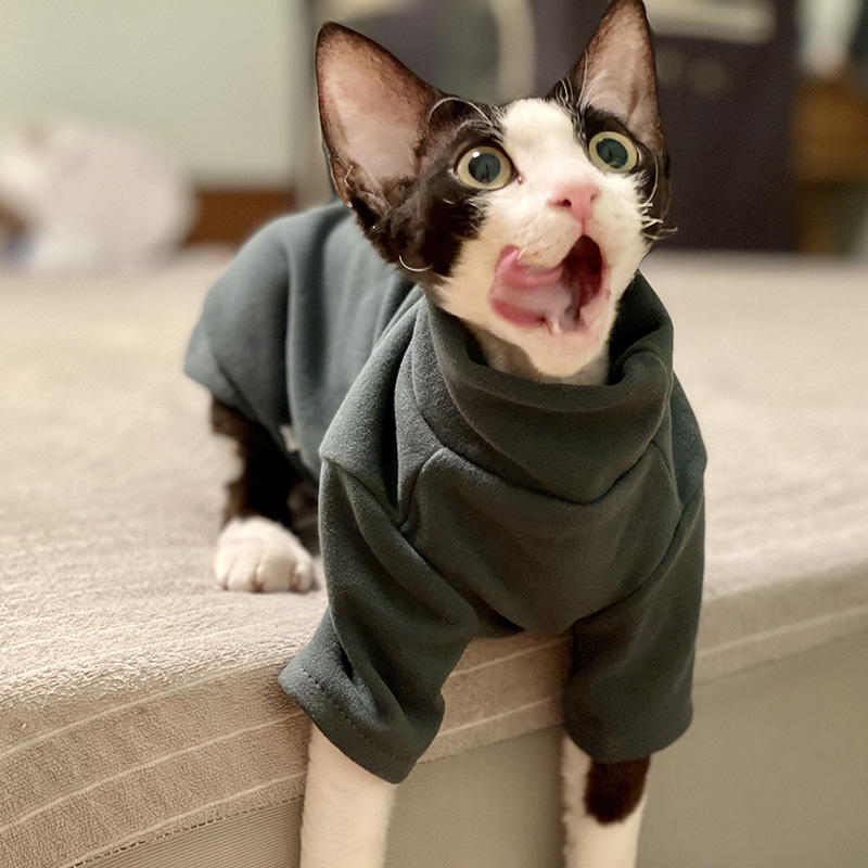 Sphynx Cat Clothes Baby Soft C - Winter Clothing For Toddlers ulasan dan harga