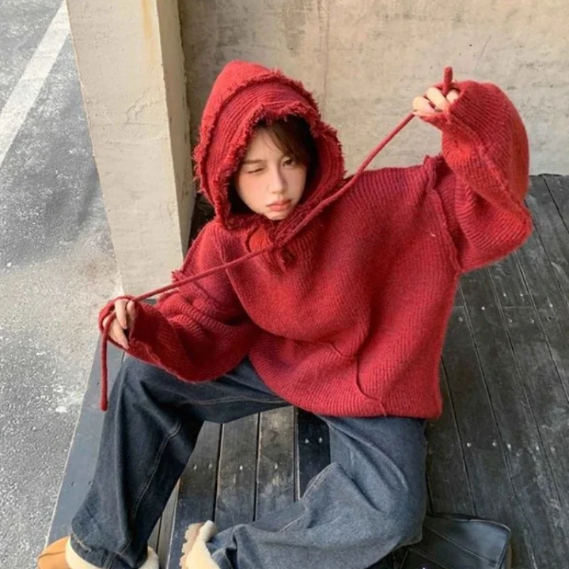 Autumn and Winter Thick Hoodie - Winter Clothing Essentials For Women ulasan dan harga